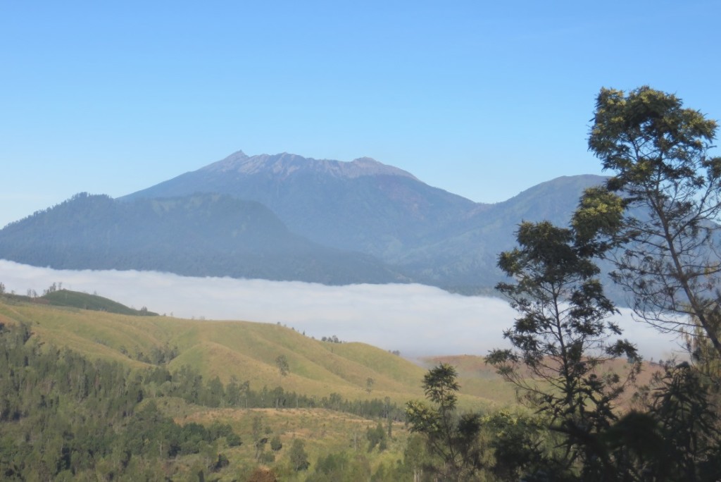 koleksi pribadi