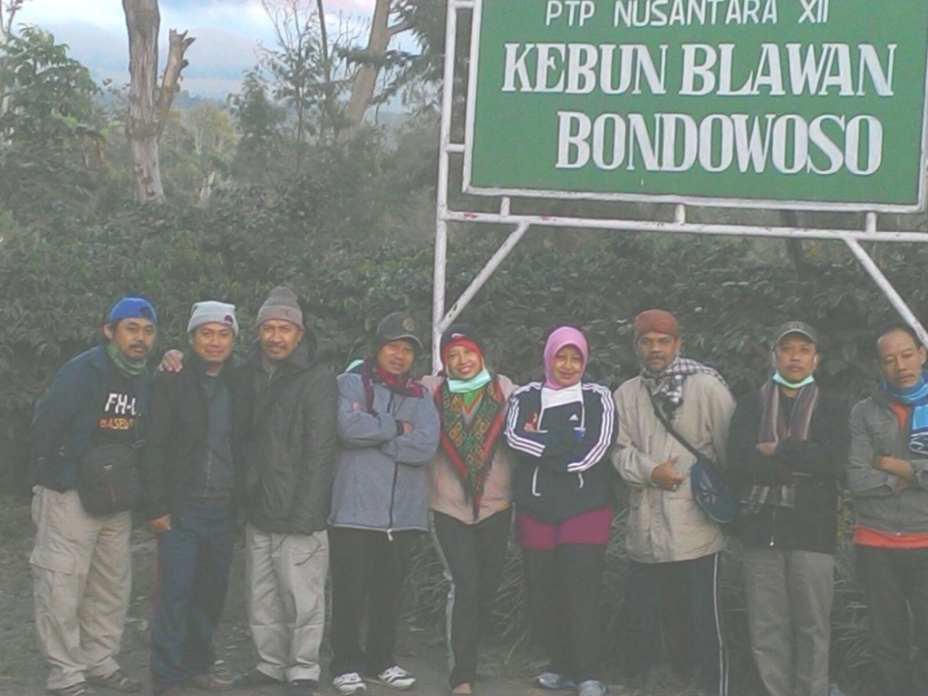 kebun Blawan, PTPN XII (koleksi pribadi)