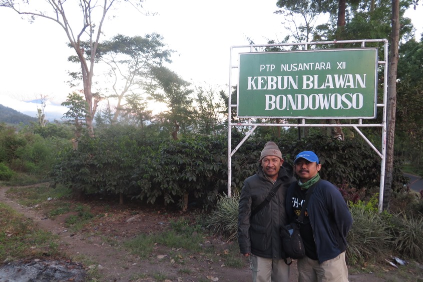 koleksi pribadi